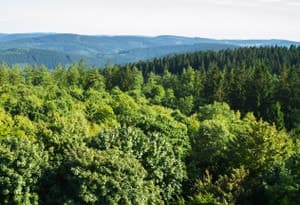 County of Waldeck-Frankenberg