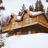 Alpine Hut