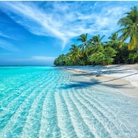 Beach holiday - 12,998 Apartments & Holiday Homes