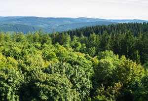 County of Waldeck-Frankenberg