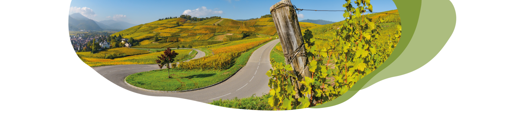 Weinstraße Elsass Header